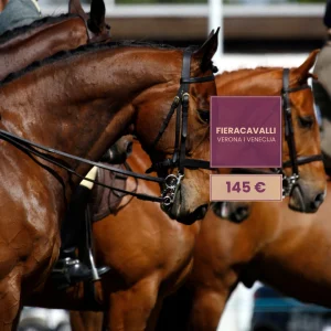 FIERACAVALLI